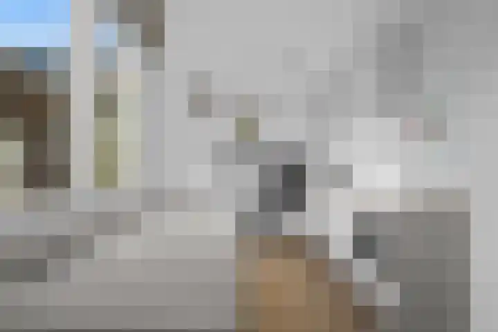 Jan van Beierenlaan 200 Woerden thumbnail 12
