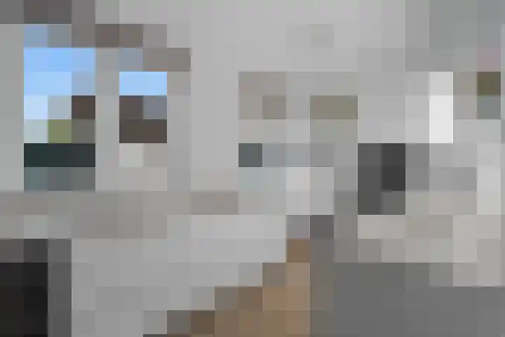 Jan van Beierenlaan 200 Woerden thumbnail 13