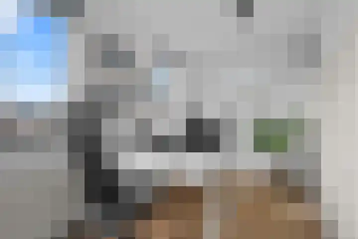 Jan van Beierenlaan 200 Woerden thumbnail 30