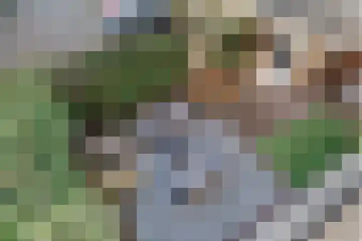 Jan van Beierenlaan 200 Woerden thumbnail 33