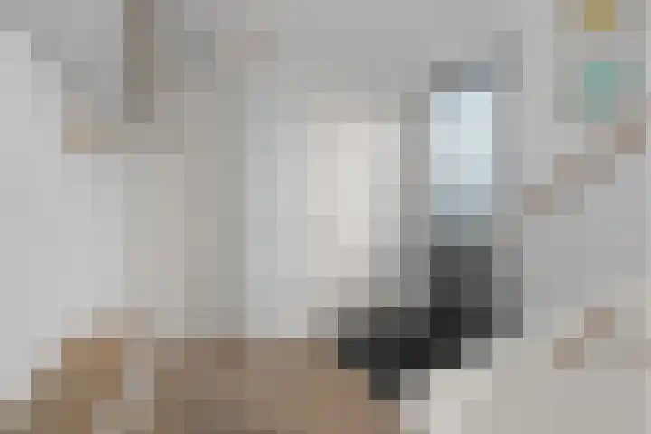 Jan van Beierenlaan 200 Woerden thumbnail 4