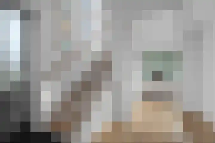 Jan van Beierenlaan 200 Woerden thumbnail 6