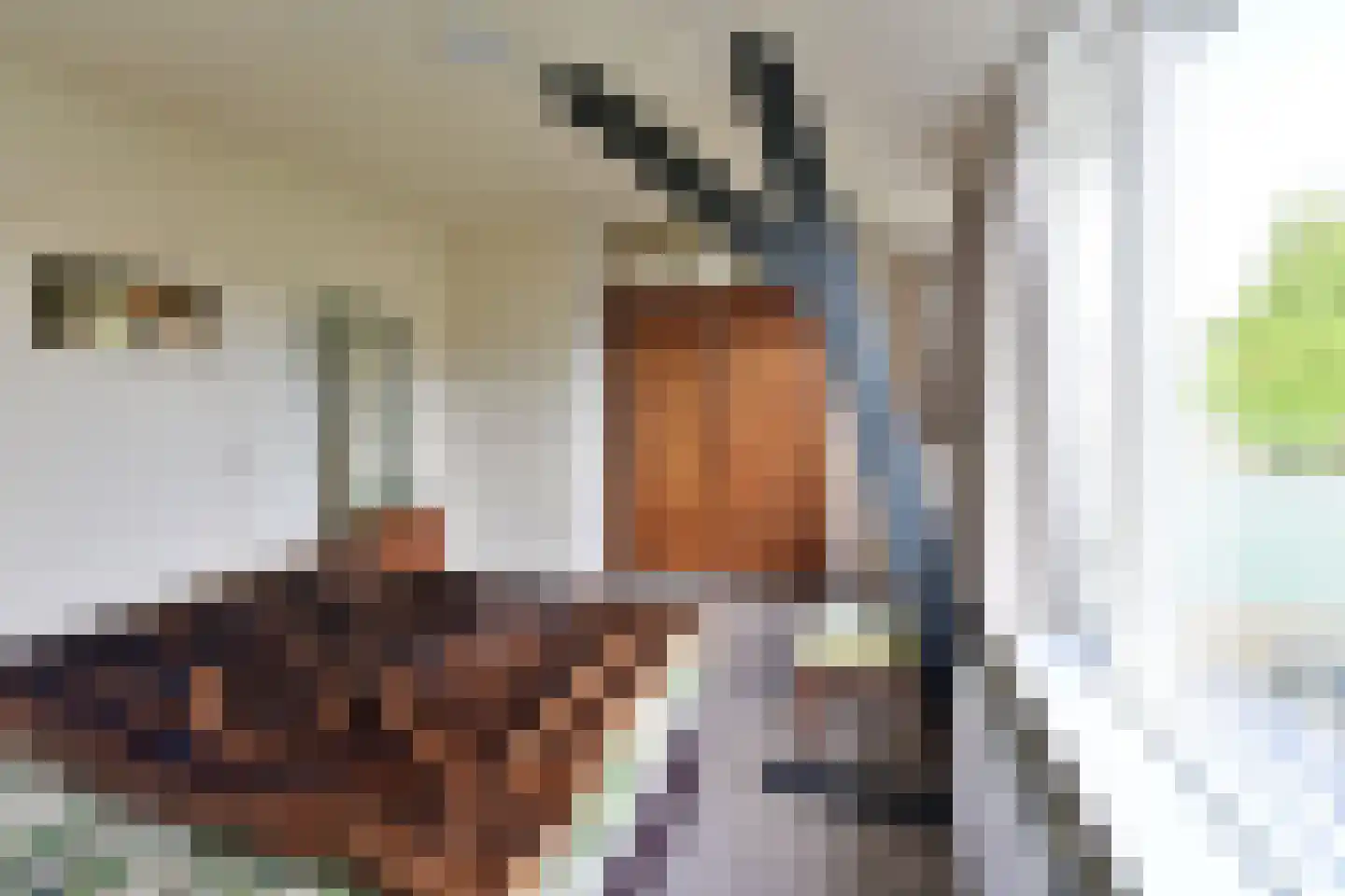 Jan van Beierenstraat 25 Hilversum thumbnail 14