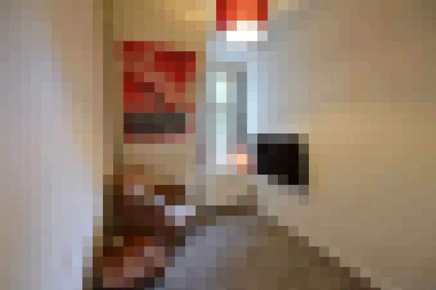Jan van Beierenstraat 25 Hilversum thumbnail 17