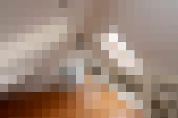 Jan van Beverwijckstraat 11 Tilburg thumbnail 39