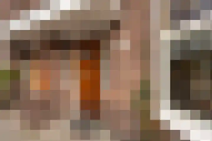 Jan van Beverwijckstraat 11 Tilburg thumbnail 9