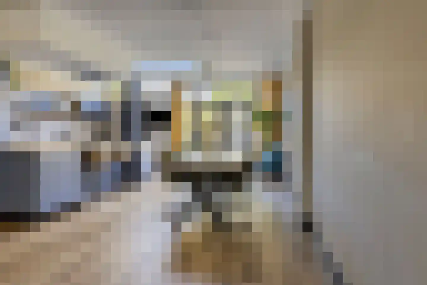 Jan van Beverwijckstraat 37 Tilburg thumbnail 12