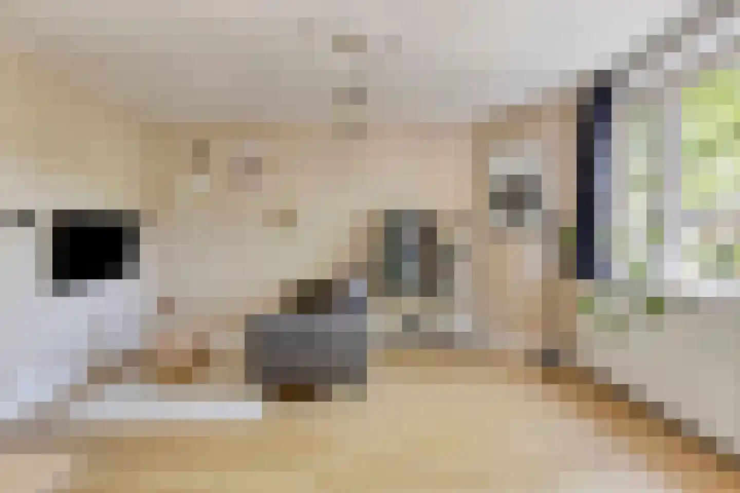 Jan van Beverwijckstraat 37 Tilburg thumbnail 24