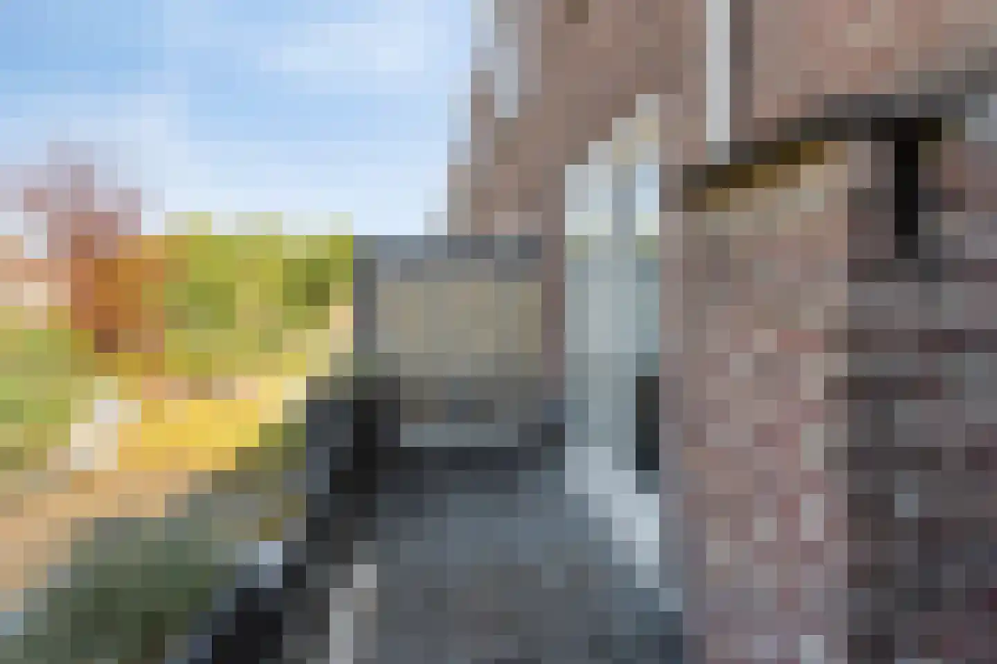 Jan van Beverwijckstraat 37 Tilburg thumbnail 35