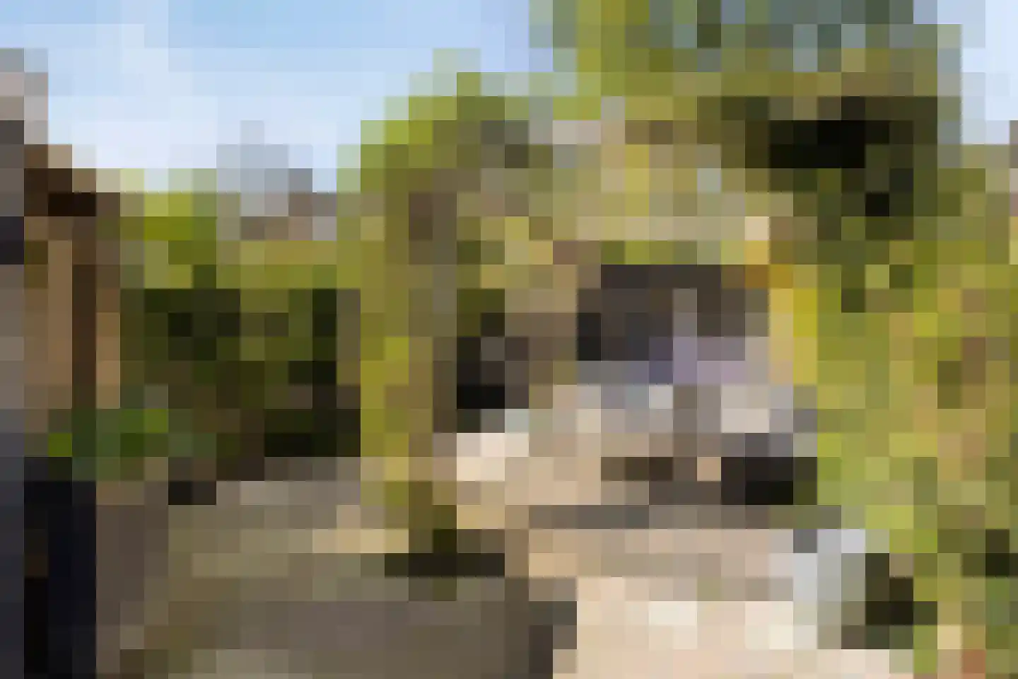 Jan van Beverwijckstraat 37 Tilburg thumbnail 41