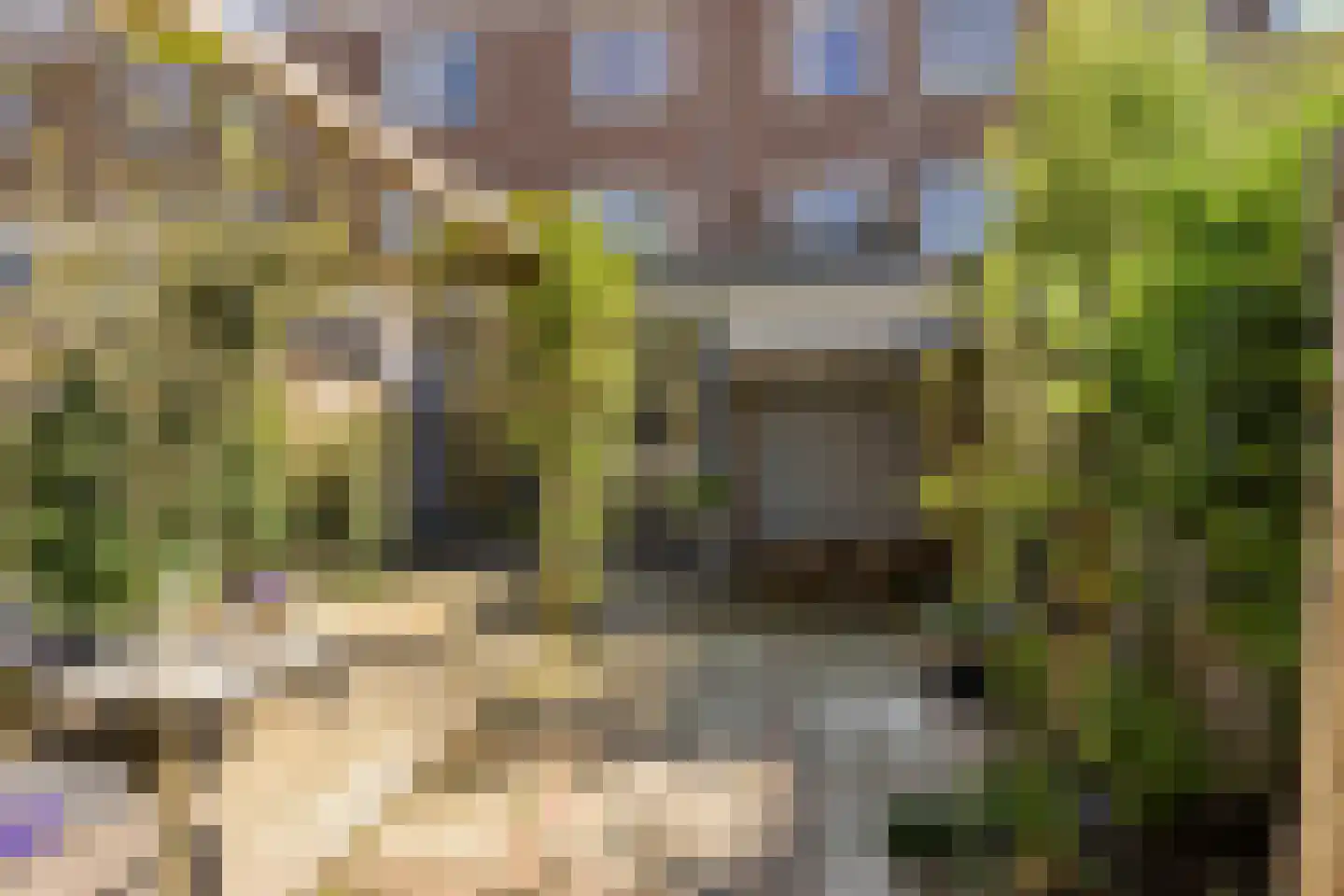 Jan van Beverwijckstraat 37 Tilburg thumbnail 43