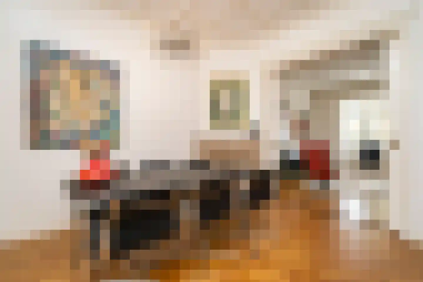 Jan van Beverwijckstraat 43 Tilburg thumbnail 15