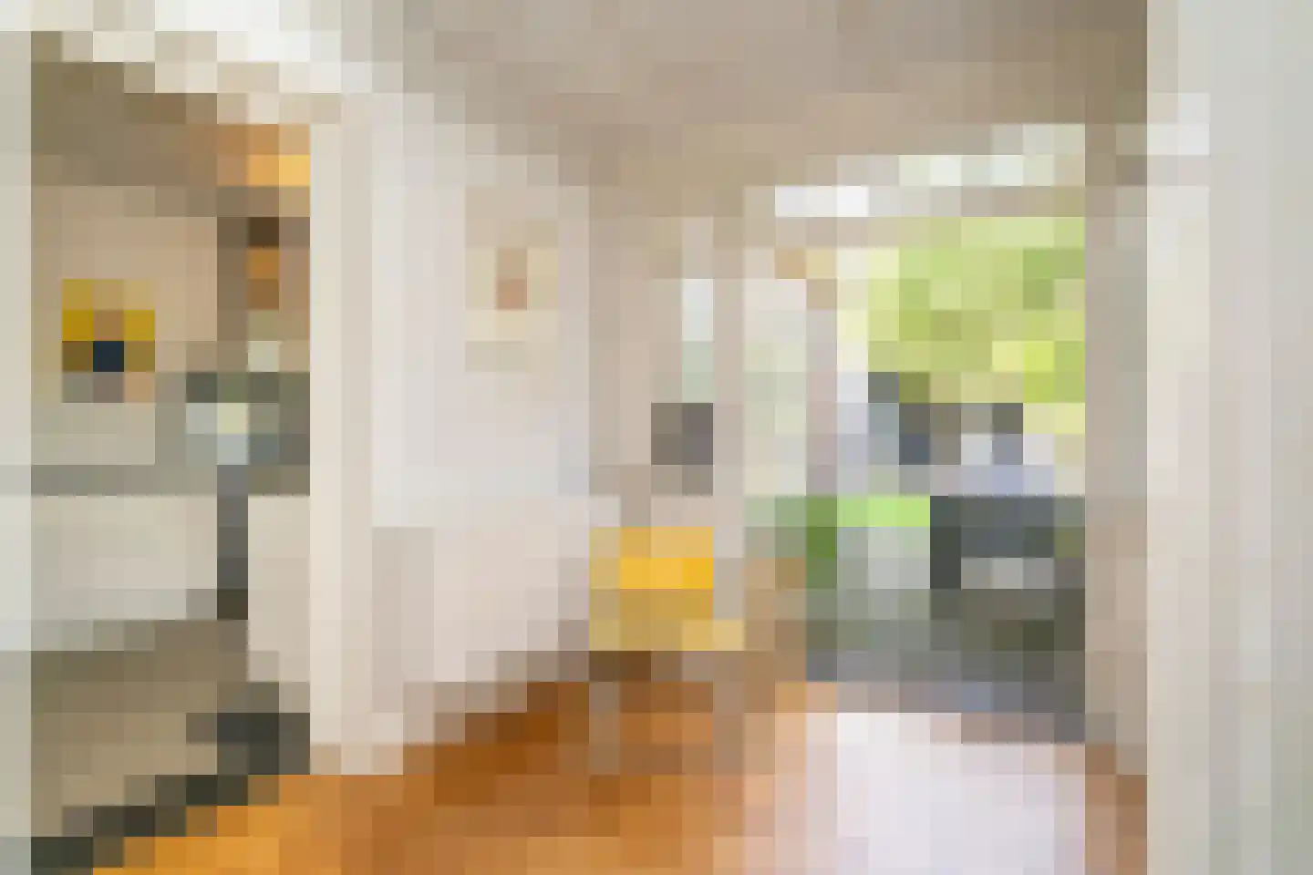 Jan van Beverwijckstraat 43 Tilburg thumbnail 17