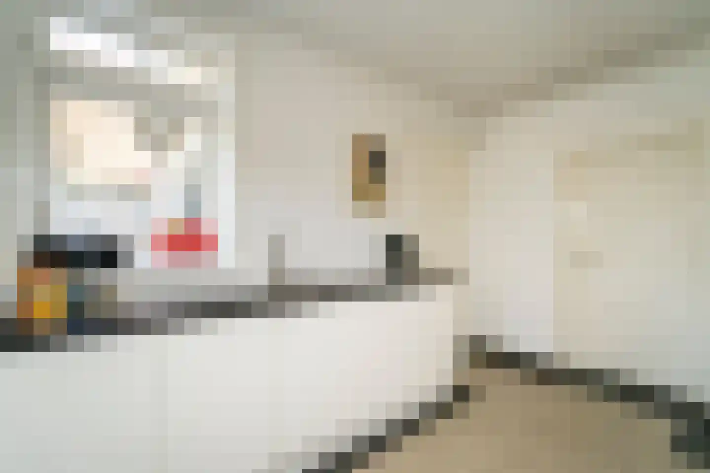 Jan van Beverwijckstraat 43 Tilburg thumbnail 20