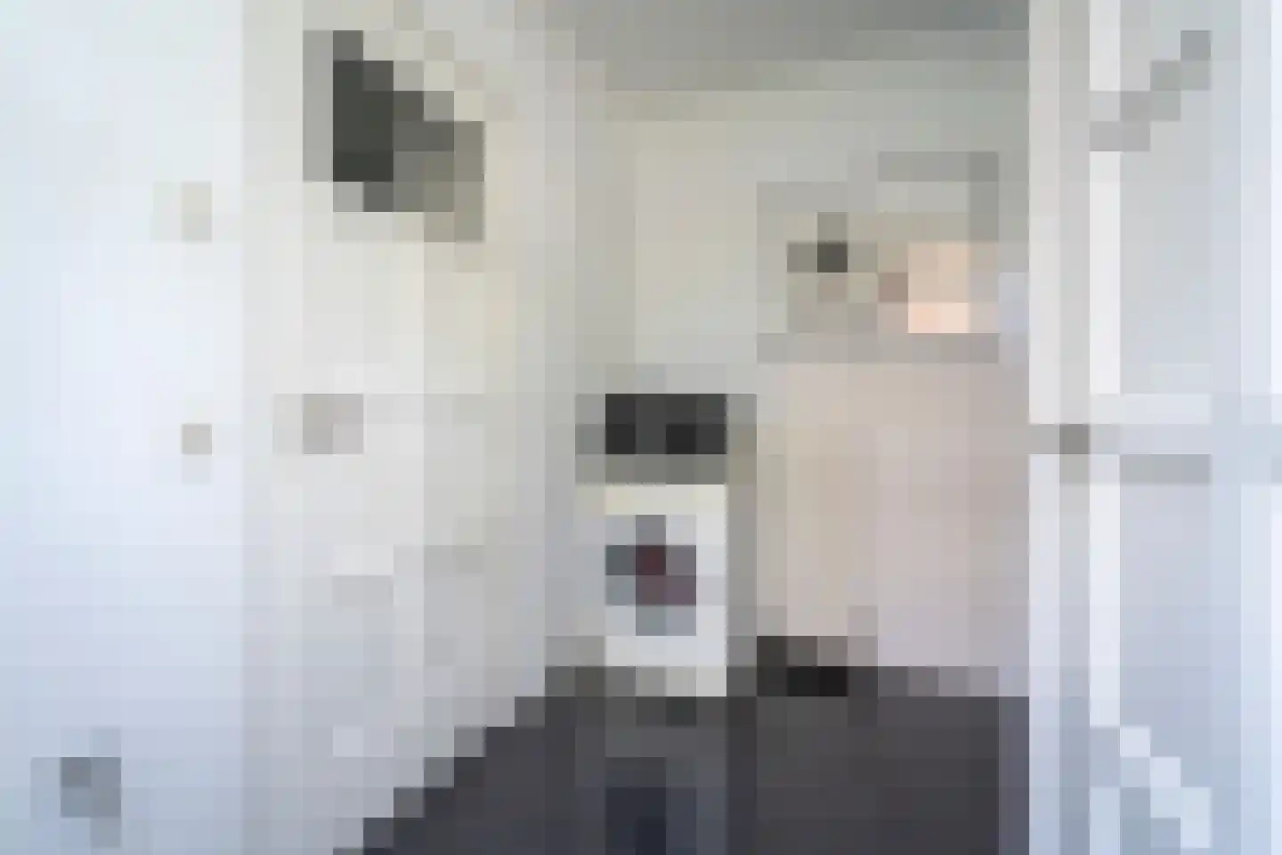 Jan van Beverwijckstraat 43 Tilburg thumbnail 21