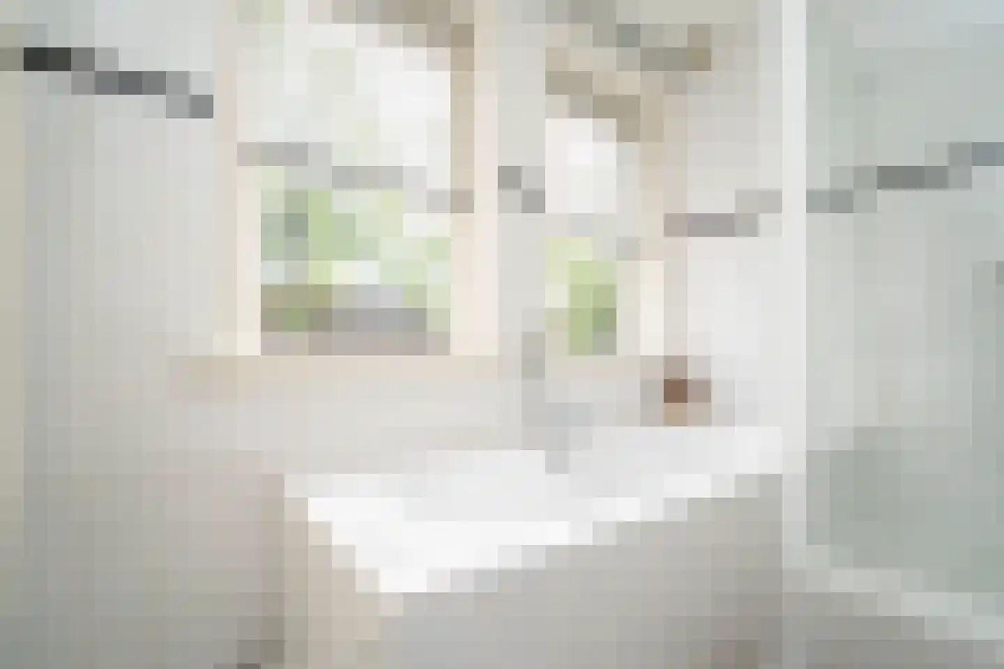 Jan van Beverwijckstraat 43 Tilburg thumbnail 36