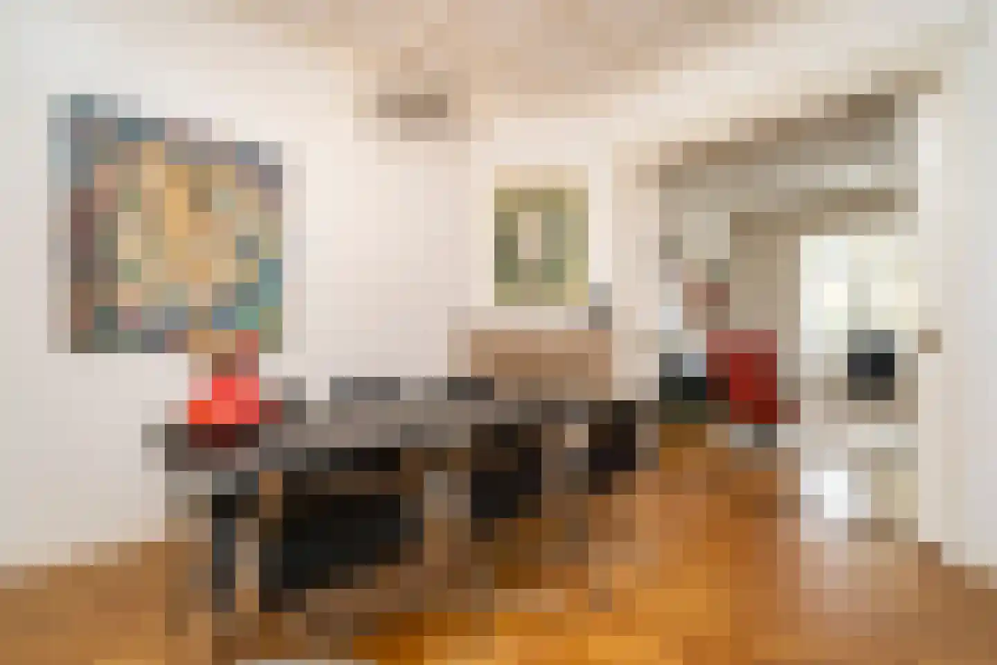 Jan van Beverwijckstraat 43 Tilburg thumbnail 4