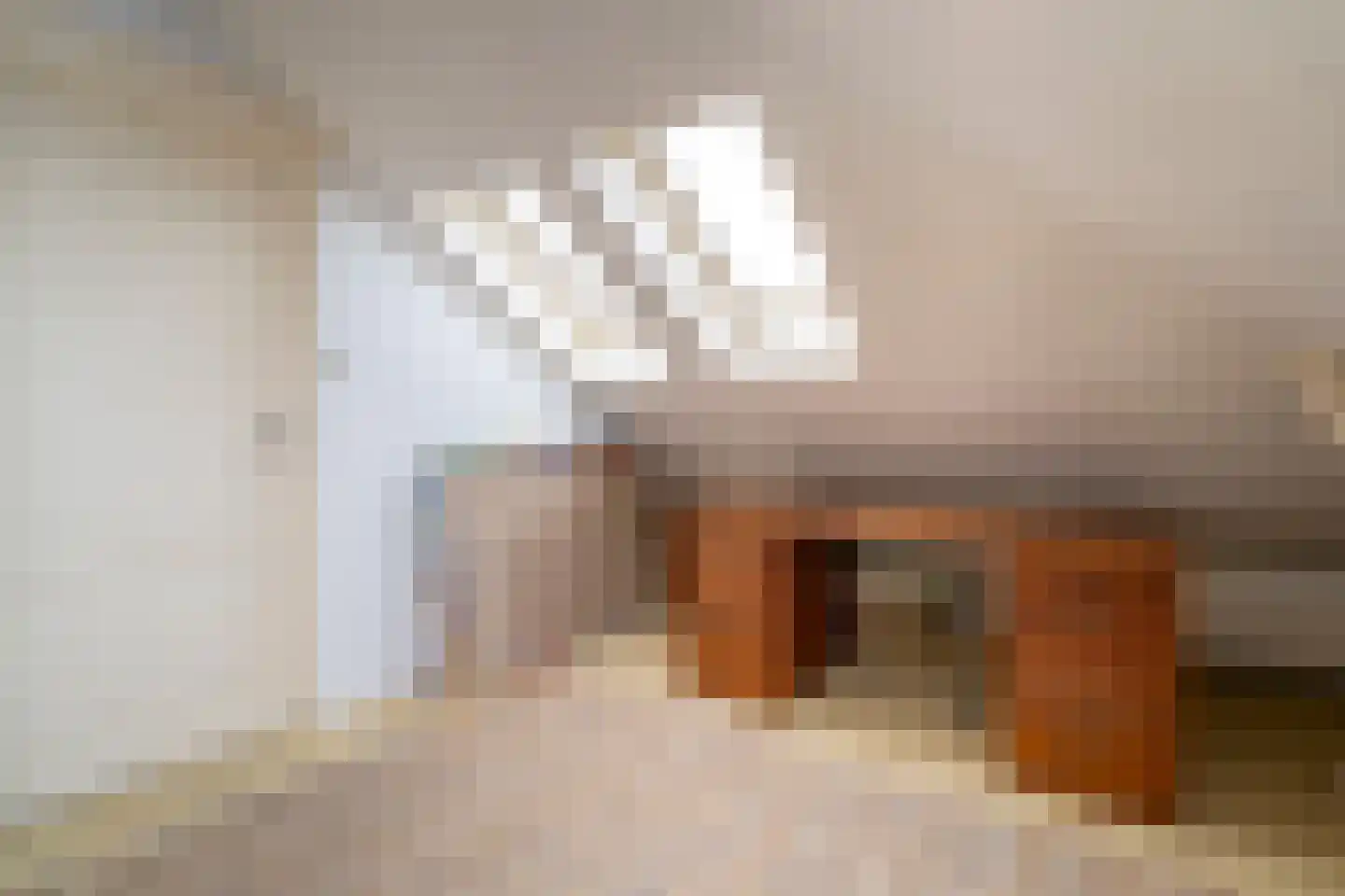 Jan van Beverwijckstraat 43 Tilburg thumbnail 40