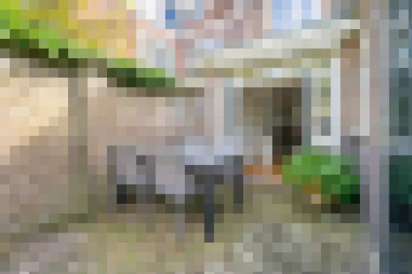 Jan van Beverwijckstraat 43 Tilburg thumbnail 42