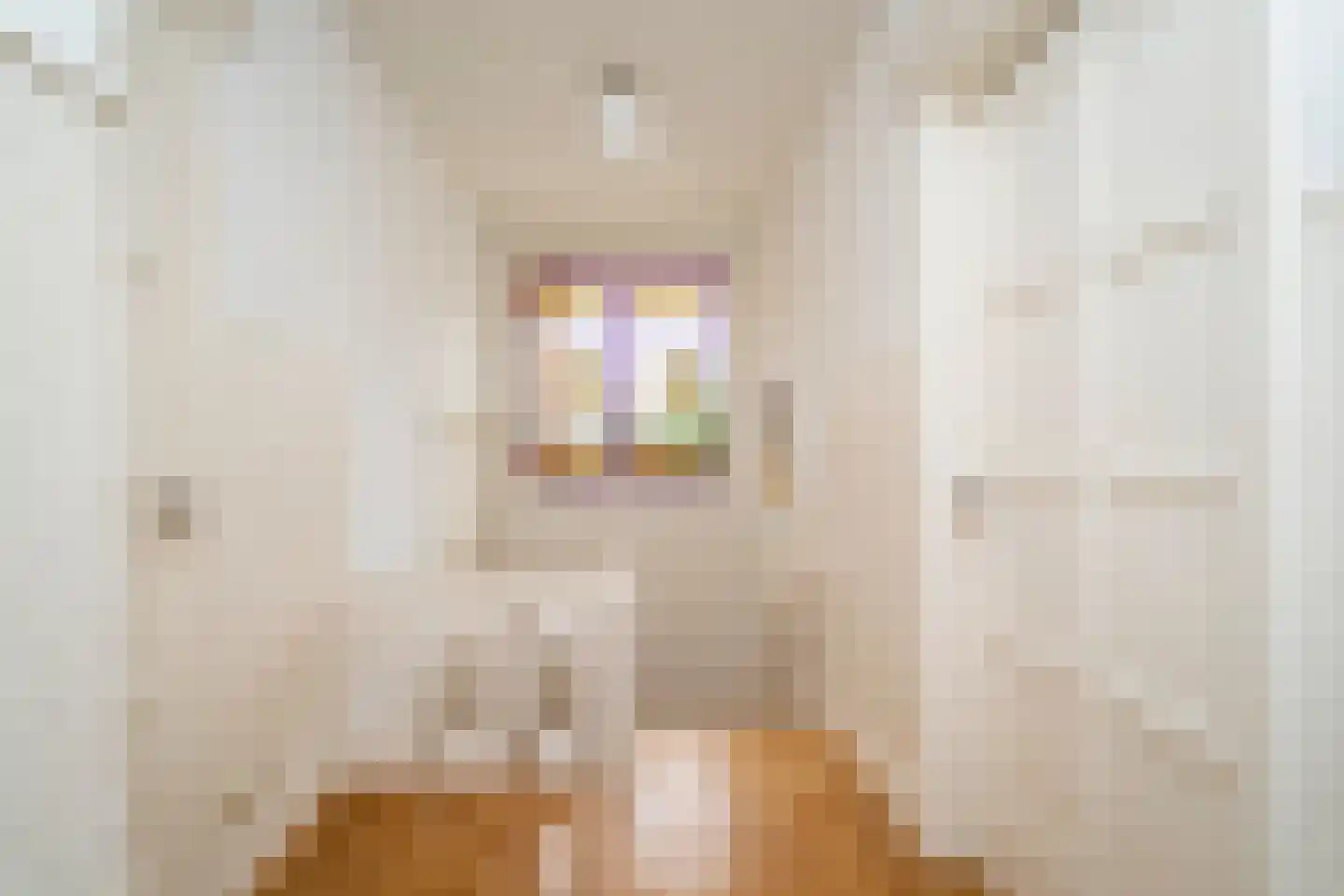 Jan van Beverwijckstraat 43 Tilburg thumbnail 6