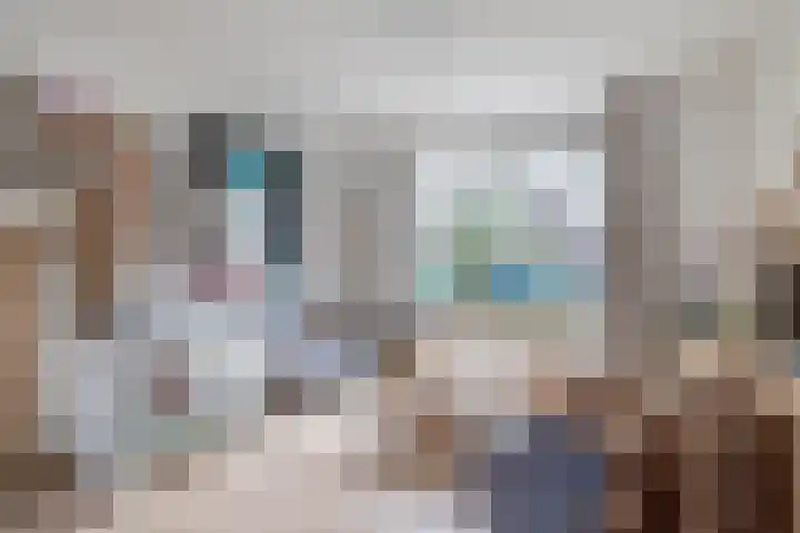 Jan van Bloisstraat 25 Schoonhoven thumbnail 10