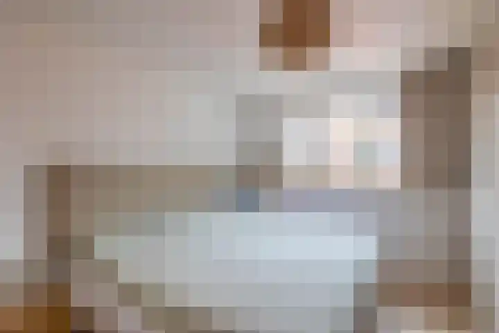 Jan van Bloisstraat 25 Schoonhoven thumbnail 22