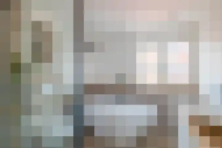 Jan van Bloisstraat 25 Schoonhoven thumbnail 24