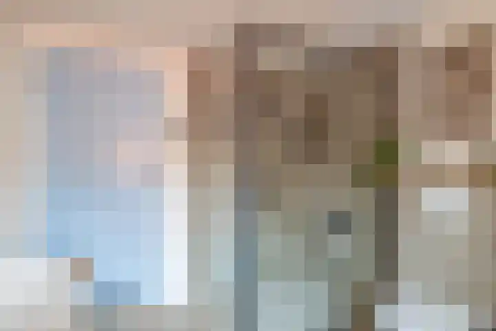Jan van Bloisstraat 25 Schoonhoven thumbnail 25
