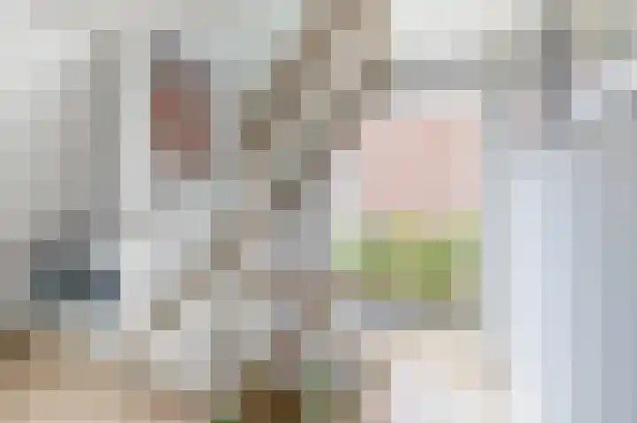 Jan van Bloisstraat 25 Schoonhoven thumbnail 27