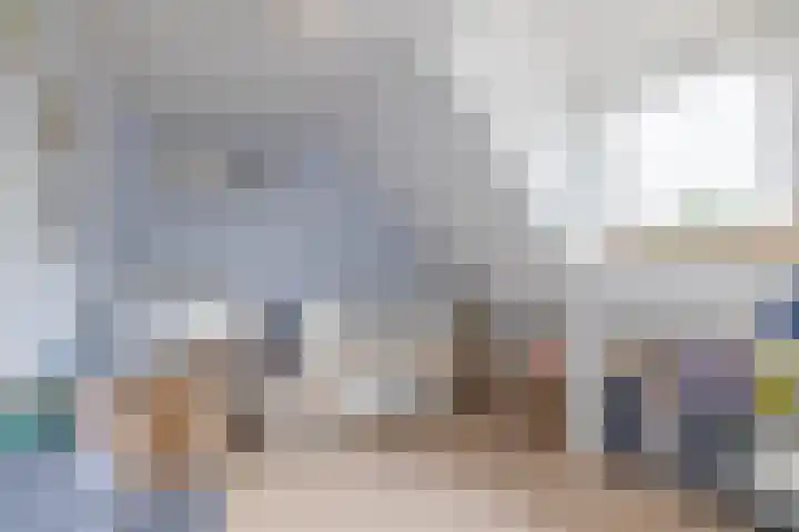 Jan van Bloisstraat 25 Schoonhoven thumbnail 29