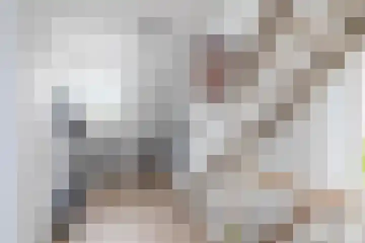 Jan van Bloisstraat 25 Schoonhoven thumbnail 31
