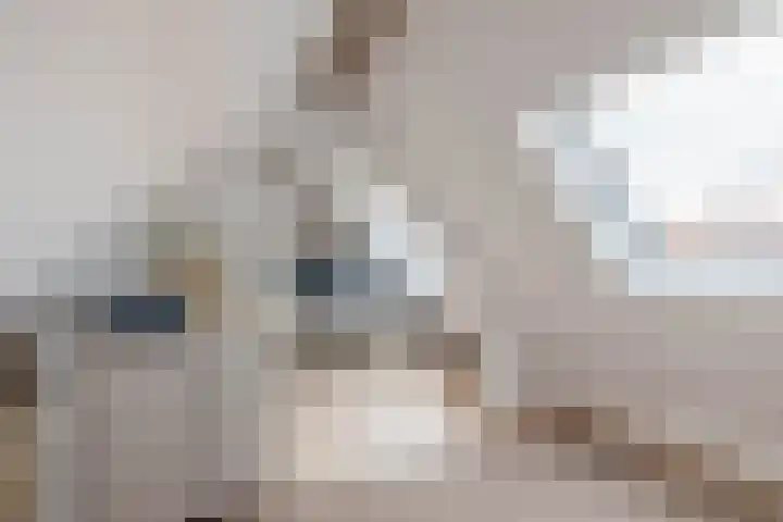 Jan van Bloisstraat 25 Schoonhoven thumbnail 33