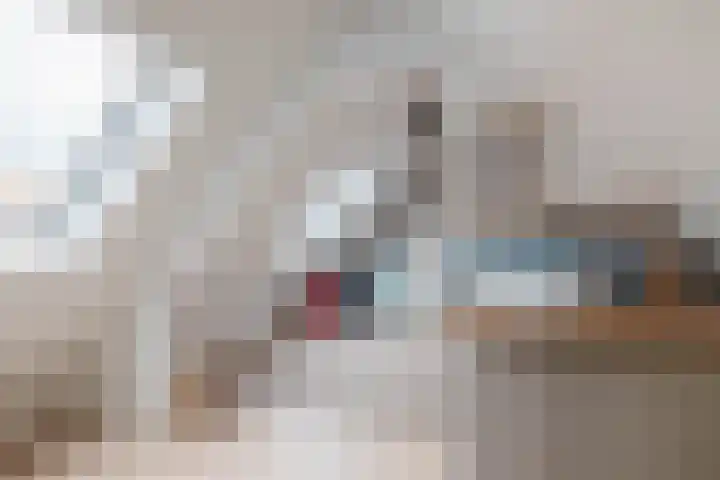 Jan van Bloisstraat 25 Schoonhoven thumbnail 34