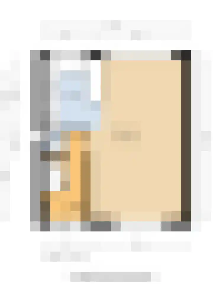 Jan van Bloisstraat 25 Schoonhoven thumbnail 38