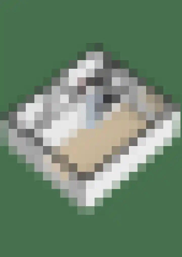 Jan van Bloisstraat 25 Schoonhoven thumbnail 39