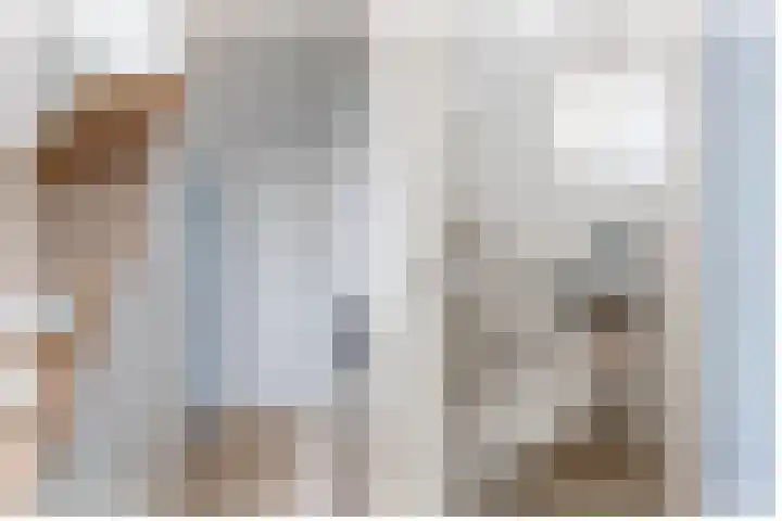 Jan van Bloisstraat 25 Schoonhoven thumbnail 7