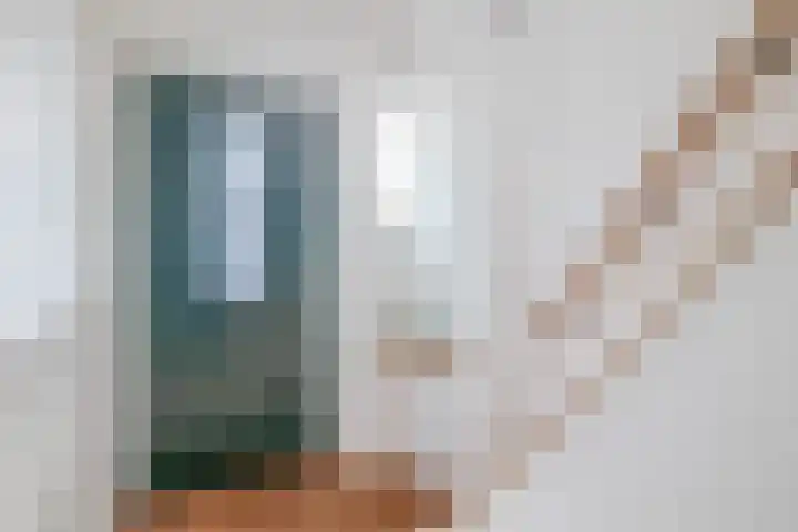 Jan van Bloisstraat 25 Schoonhoven thumbnail 8