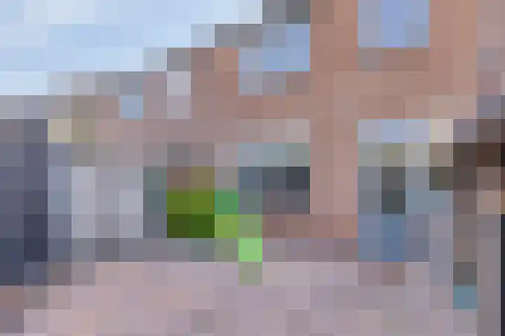 Jan van Bloisstraat 50 Tholen thumbnail 32