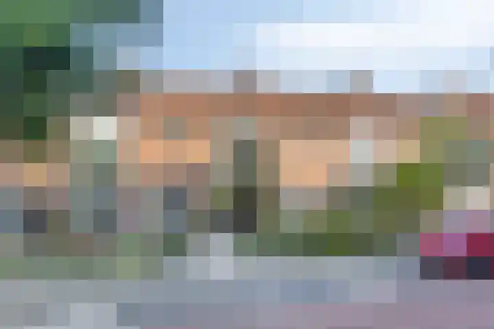 Jan van Bloisstraat 50 Tholen thumbnail 38