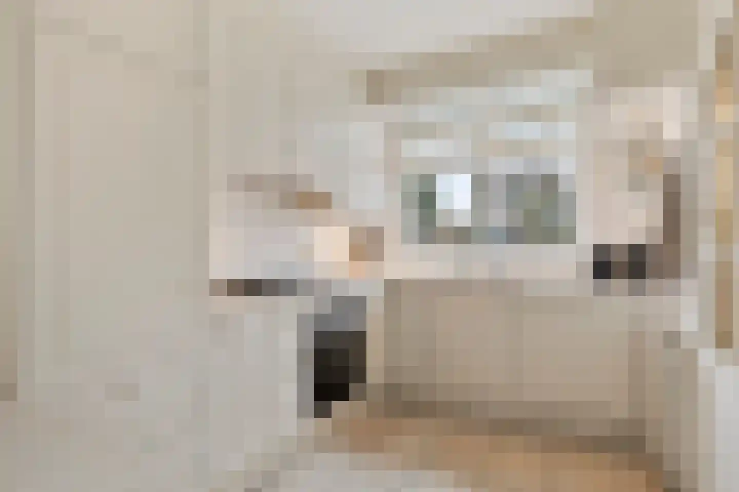 Jan van Boendalelaan 12 Eindhoven thumbnail 14