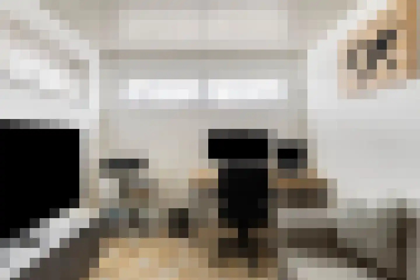 Jan van Boendalelaan 12 Eindhoven thumbnail 17