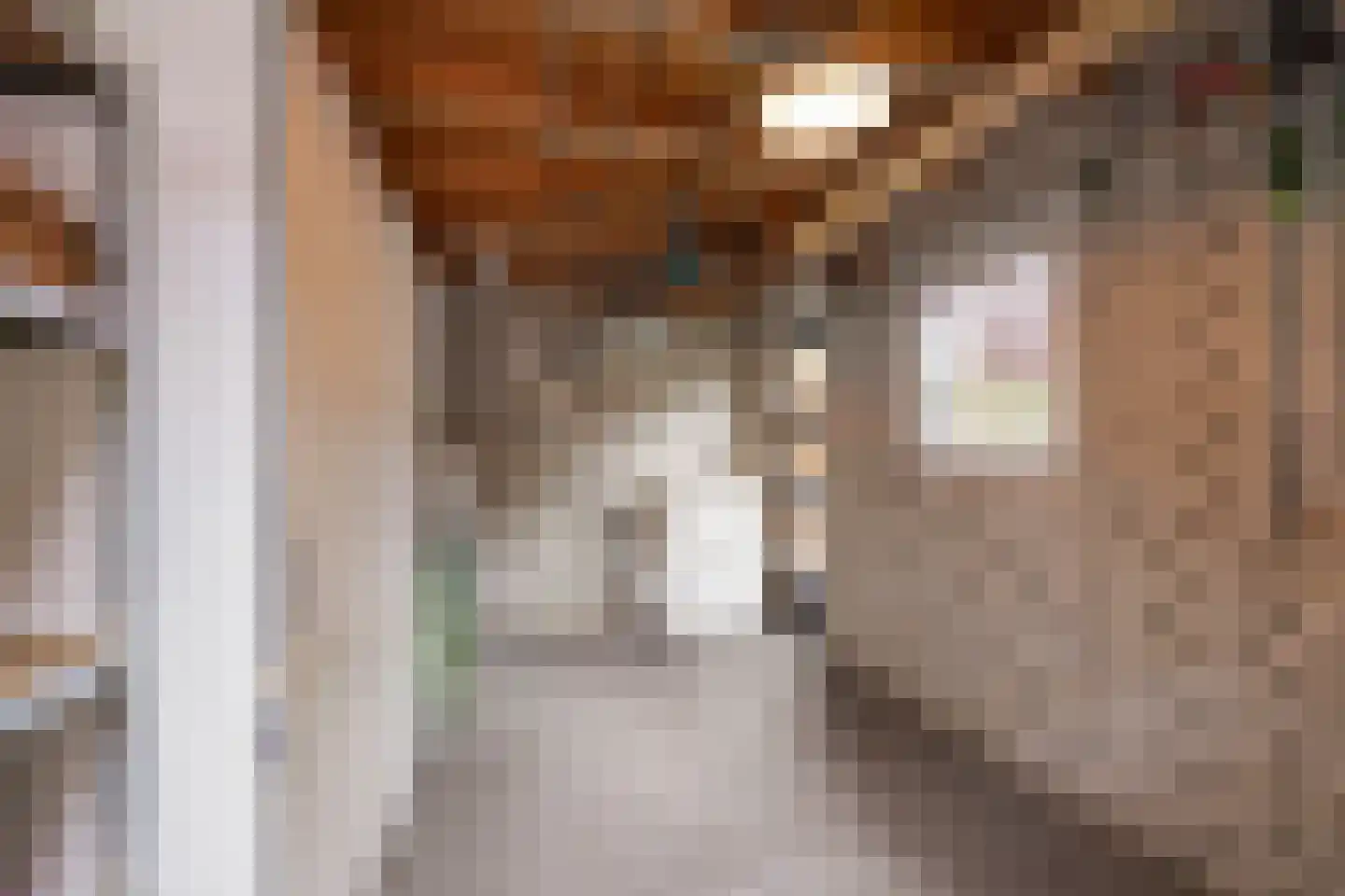 Jan van Brabantstraat 4 Boxtel thumbnail 23