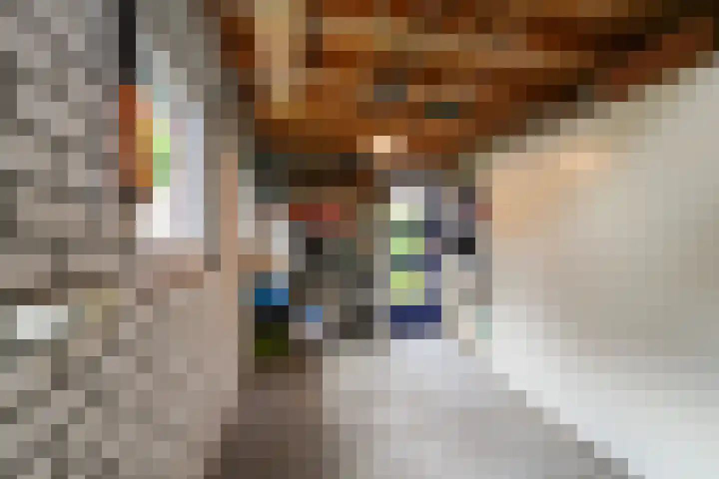 Jan van Brabantstraat 4 Boxtel thumbnail 24