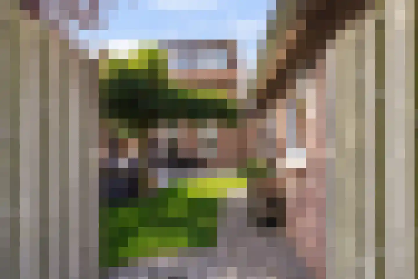 Jan van Brabantstraat 4 Boxtel thumbnail 55