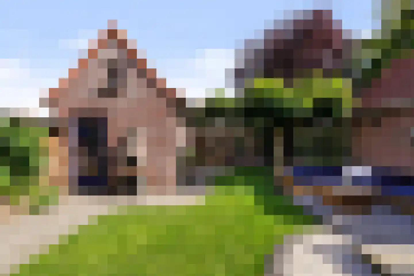 Jan van Brabantstraat 4 Boxtel thumbnail 57