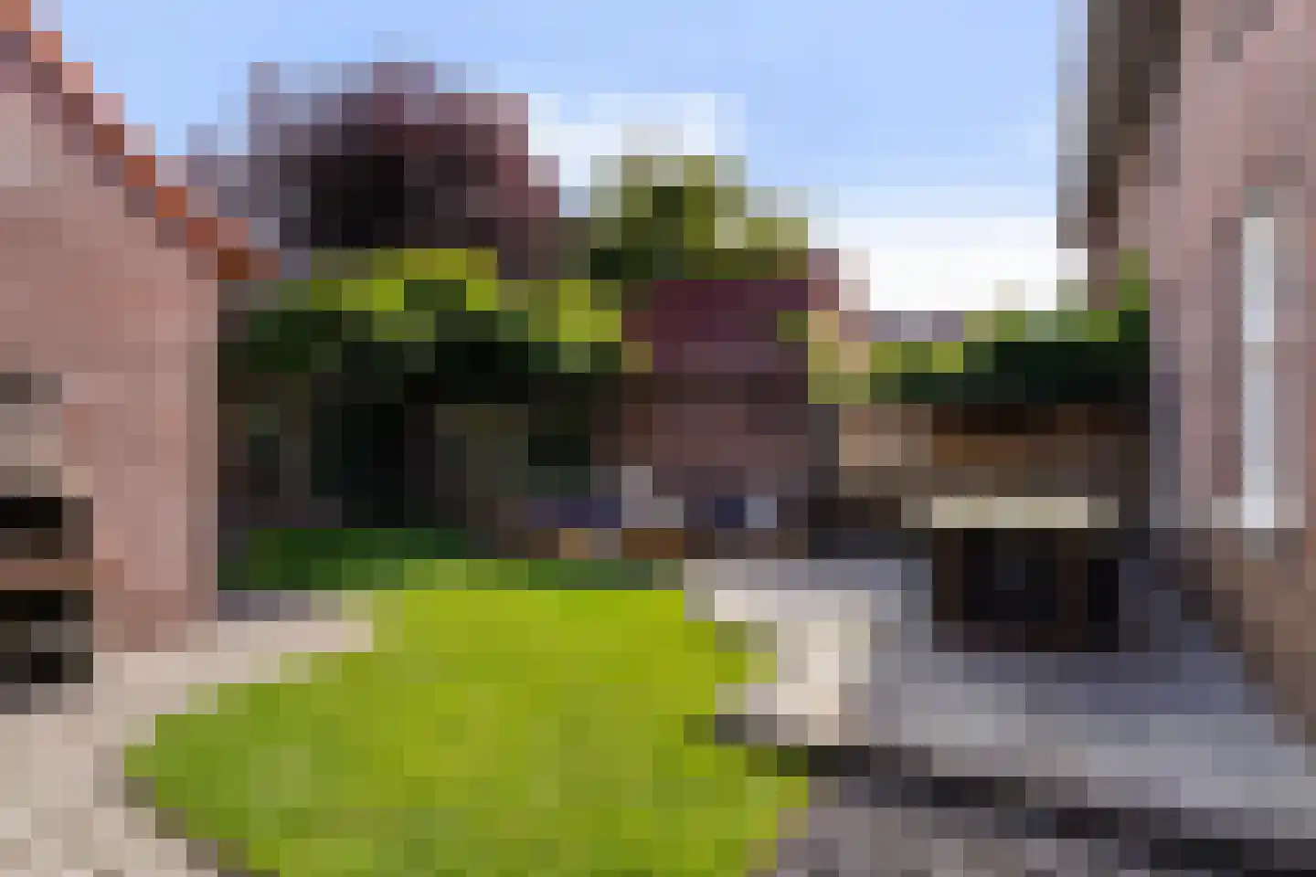 Jan van Brabantstraat 4 Boxtel thumbnail 59