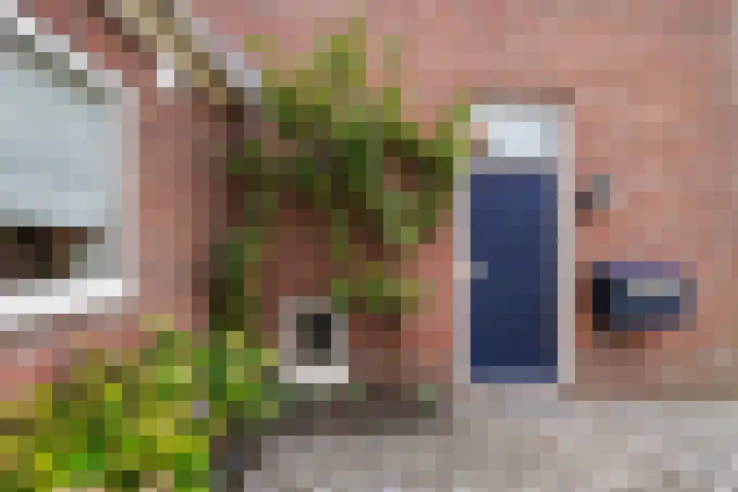 Jan van Brabantstraat 4 Boxtel thumbnail 7