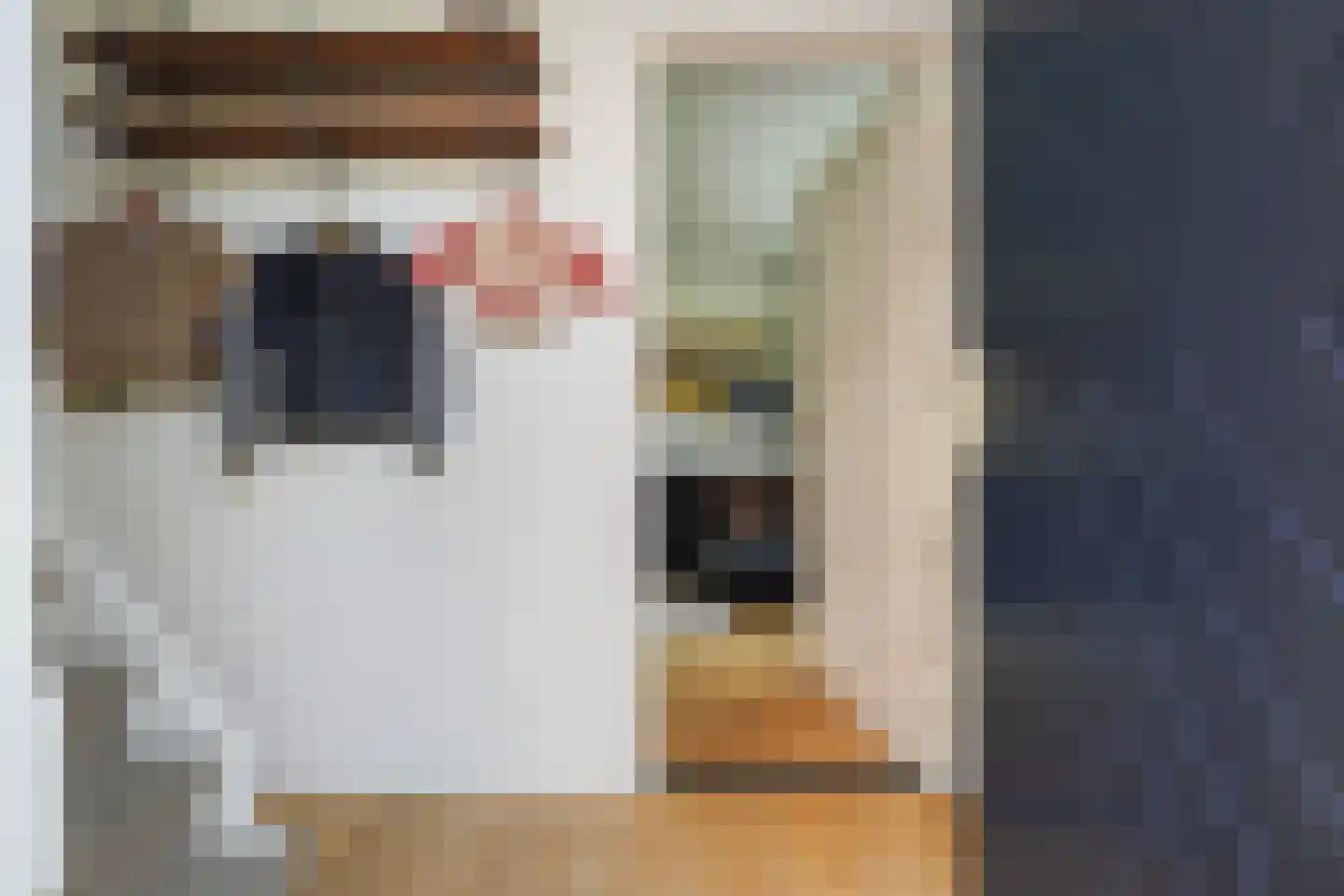 Jan van Brabantstraat 4 Boxtel thumbnail 9