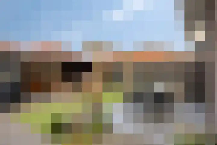 Jan van Brabantstraat 8 Boxtel thumbnail 26