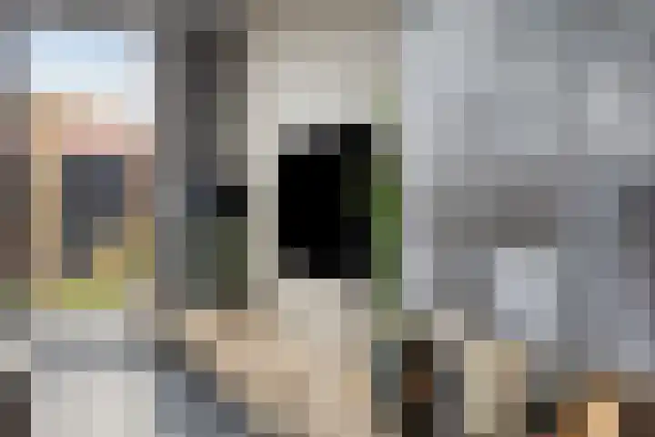 Jan van Brabantstraat 8 Boxtel thumbnail 4
